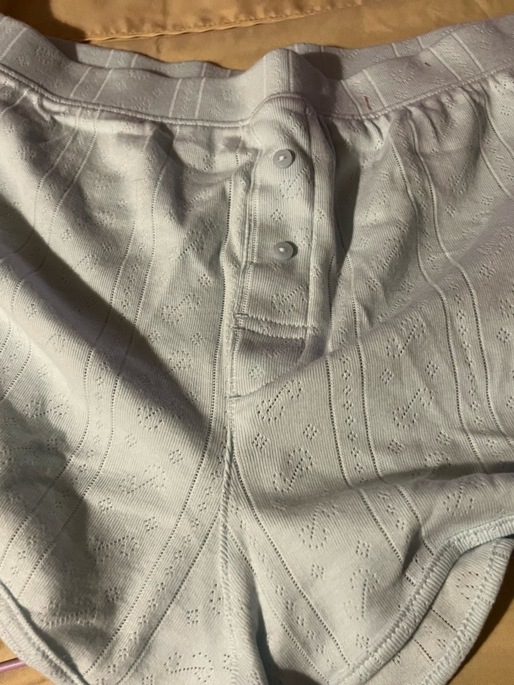 Victoria's Secret Spray Blue Pointelle Bow L Pajama Shorts